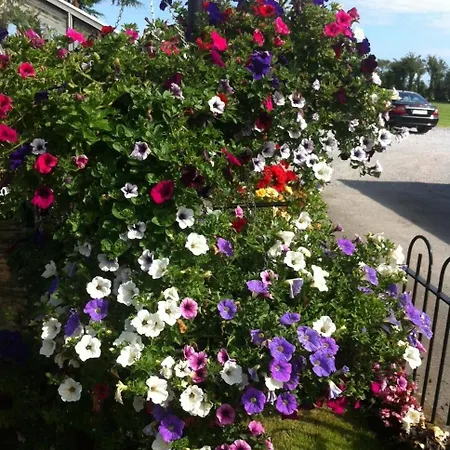 Hillview House Gasthuis