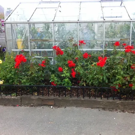 Hillview House 3* Lusk