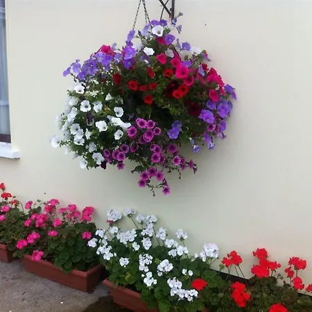 Πανσιόν Hillview House 3*