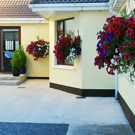Hillview House Guest house Lusk