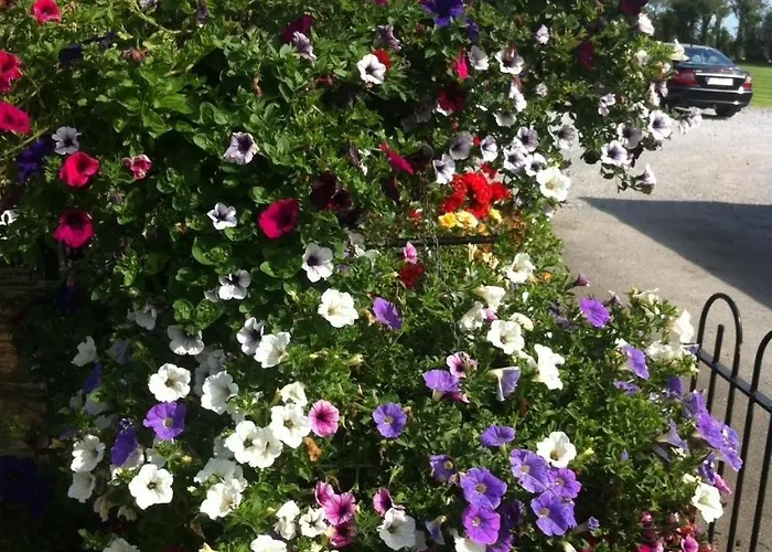 Hillview House Guest house