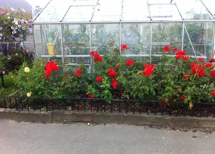 Hillview House 3* Lusk