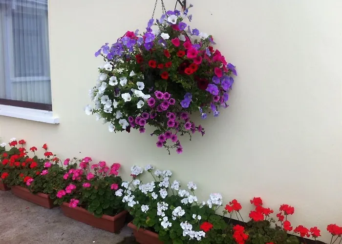 Guest house Hillview House 3*